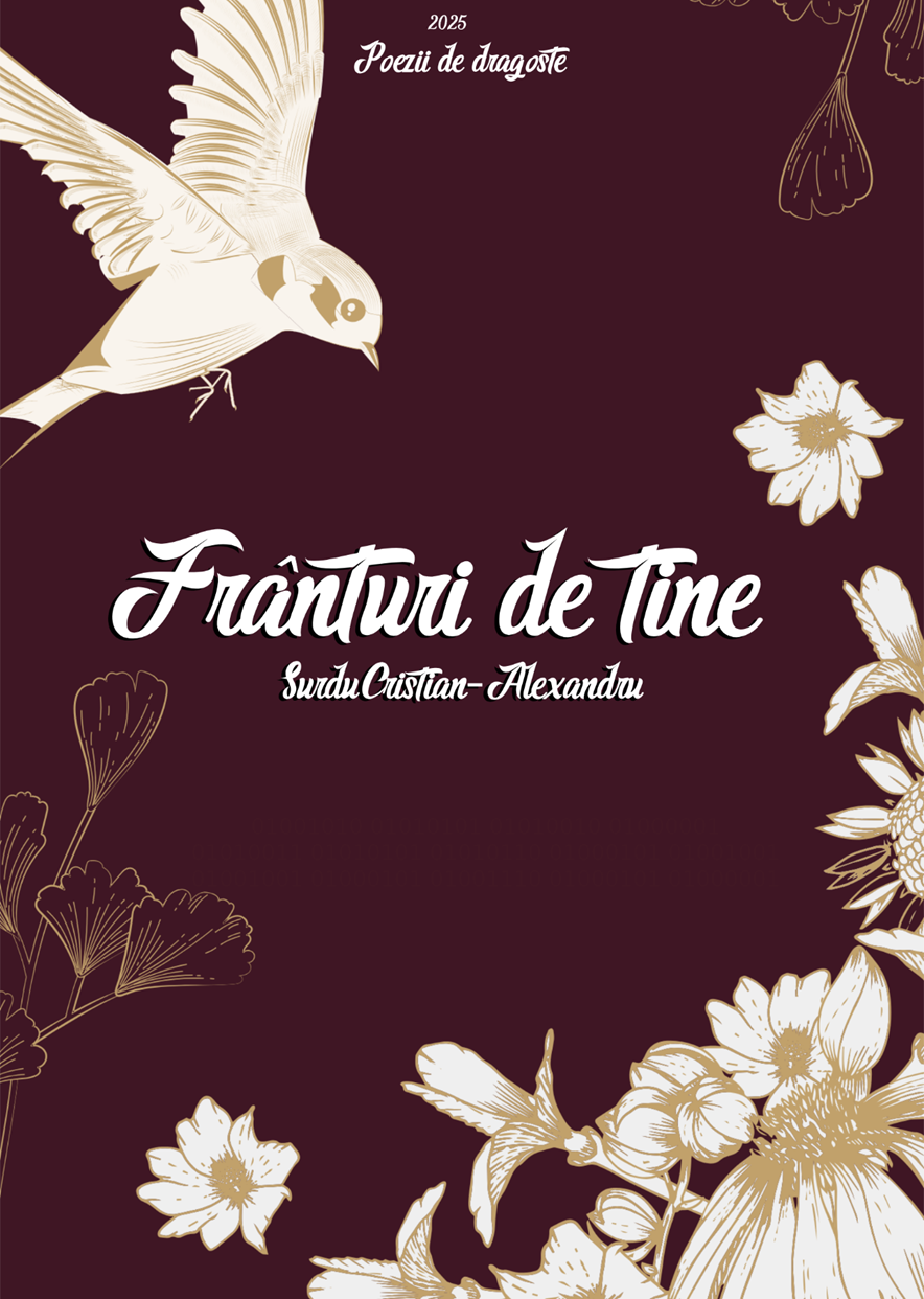 Frânturi de tine - Copertă